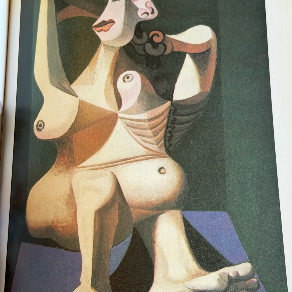 Picasso by Josep Palau I Fabre coffee table book
This is a vintage book - Picture 5 of 11